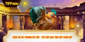 Cược đá gà 789win ăn tiền